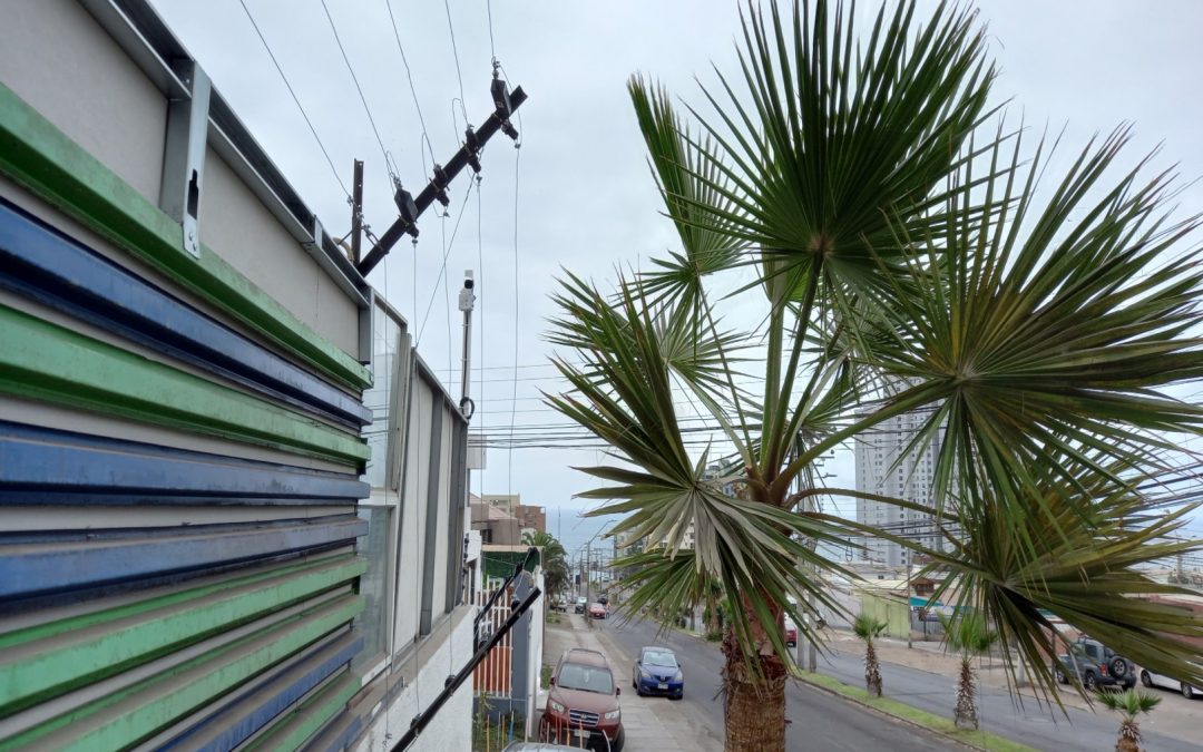 Instalacion de cercos electricos